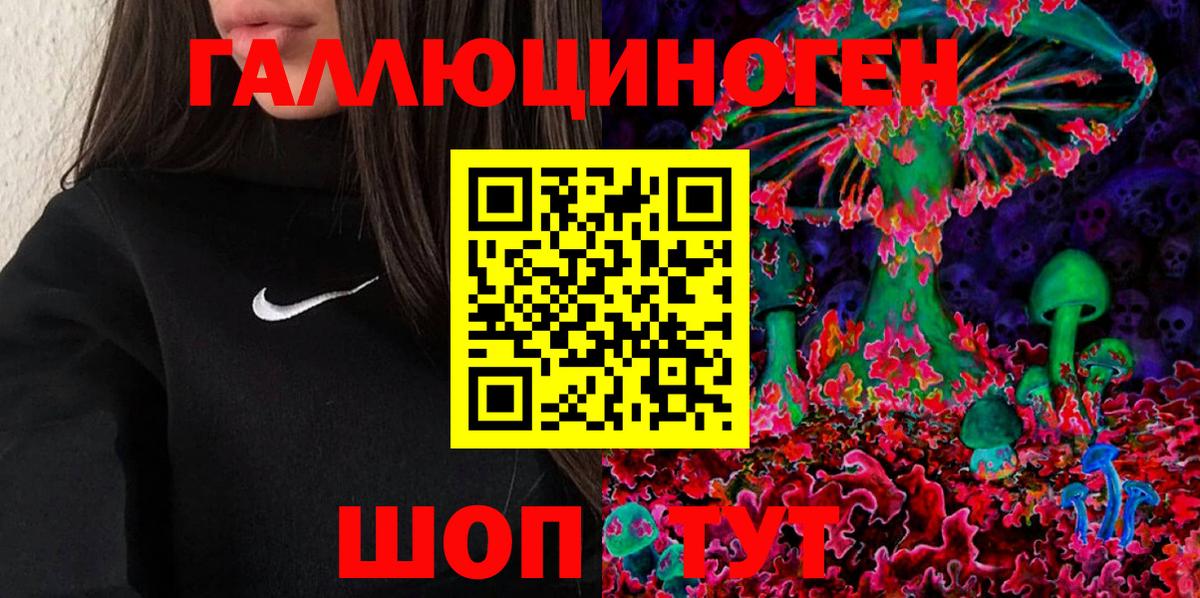 Галлюциногенные грибы Psilocybe  где найти   Псилоцибиновые грибы GOLDEN TEACHER  Мыски  Вход с VPN 